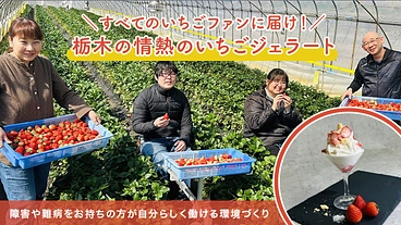 障害福祉サービスの皆で作った栃木・情熱のいちごジェラートを商品化！ のトップ画像