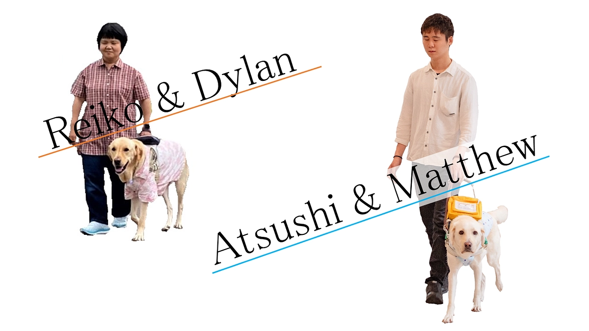 ユーザートーク　ライブ配信のお知らせ