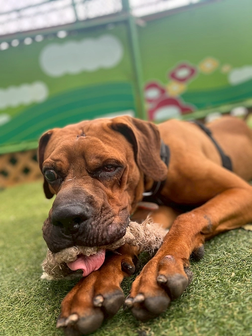 お久しぶりです！