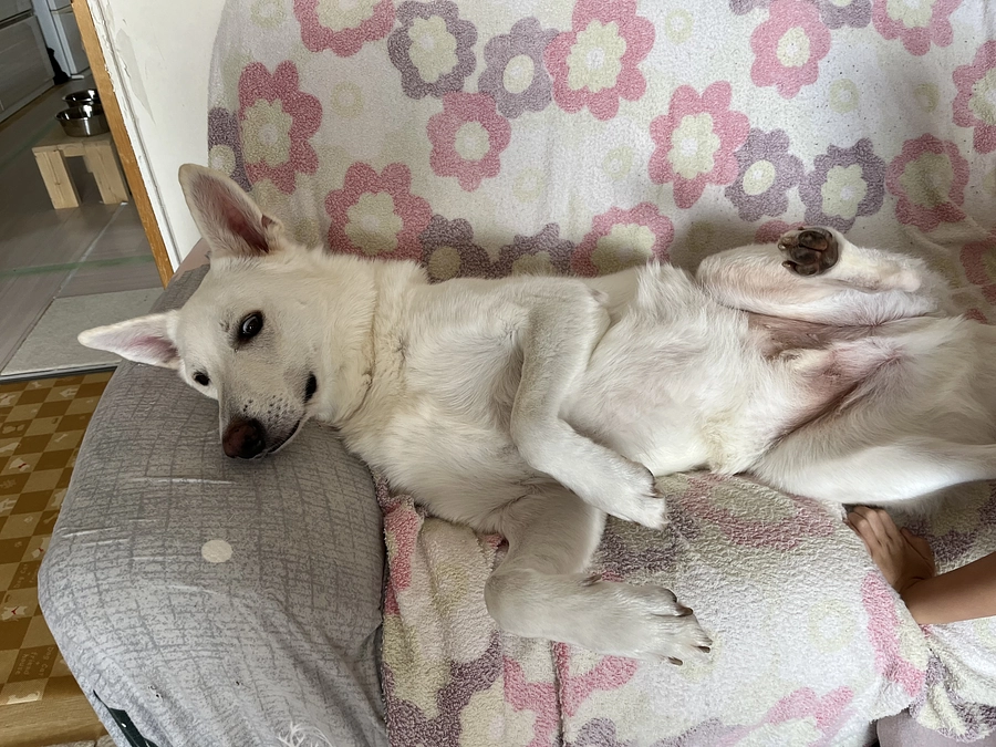 メール内容の訂正