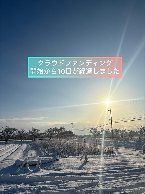 残り24日となります🙇‍♀️🙏