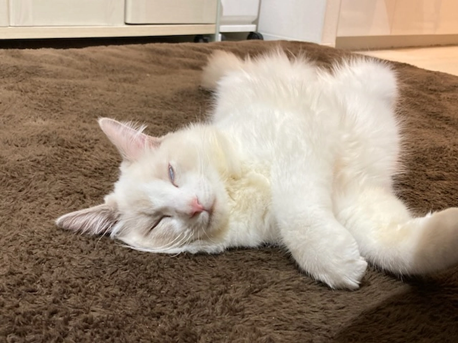 投薬２１日目(2023.4.2)