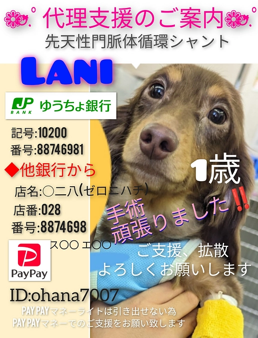 ご支援ありがとうございます(´；ω；｀)