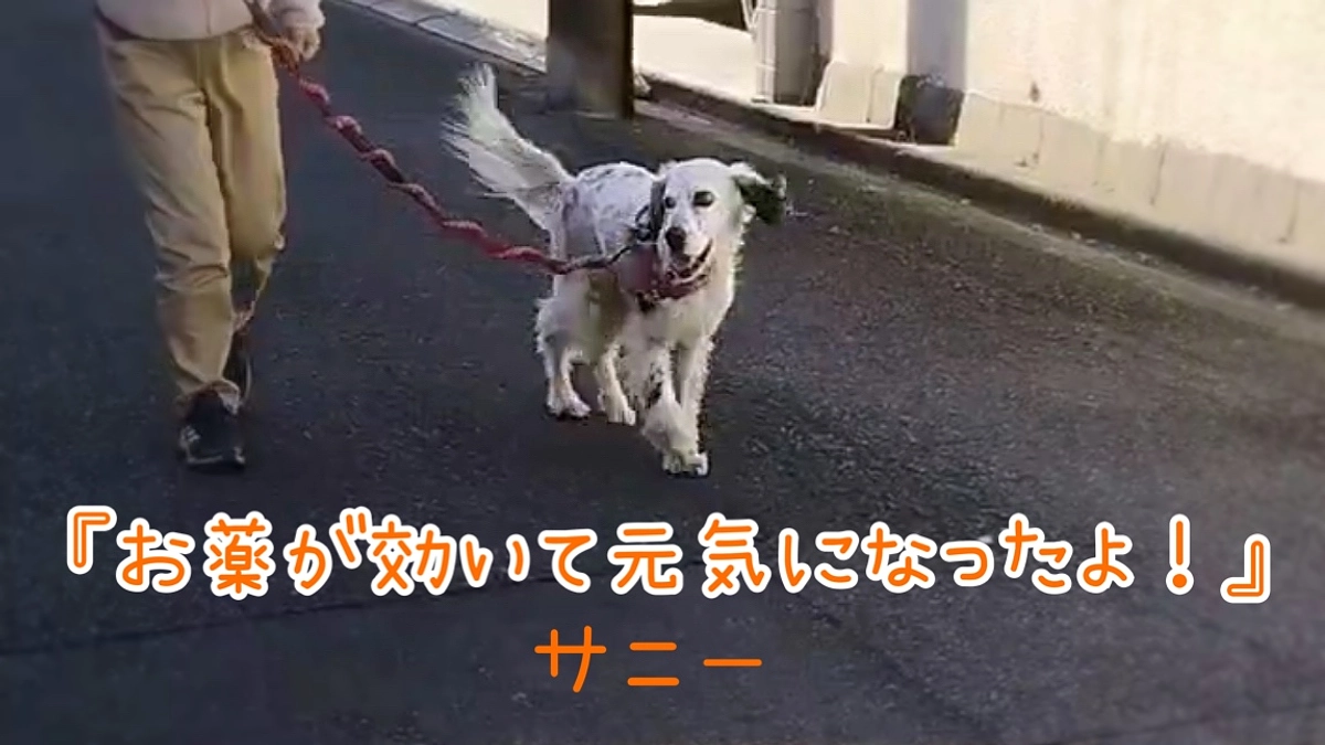 改めて… 皆様からの貴重なご支援に感謝です！