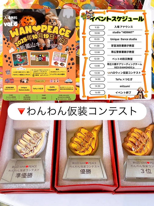 🐱猫だって感情がある🐱