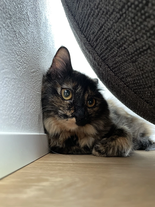 経過観察30日目