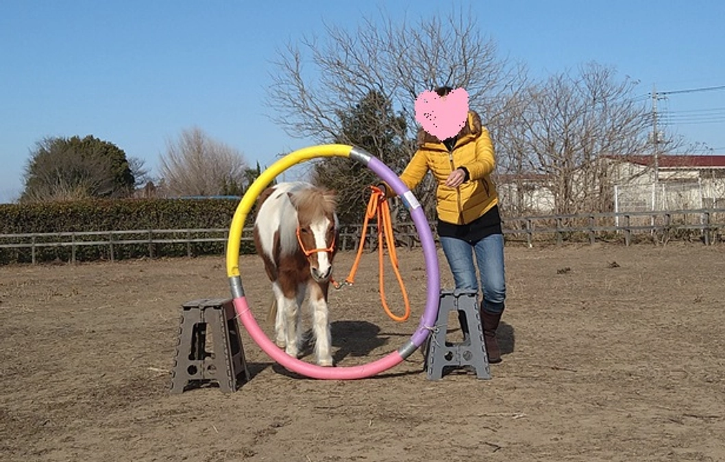 【リターンのご紹介③】ホコリ共通チケットについて