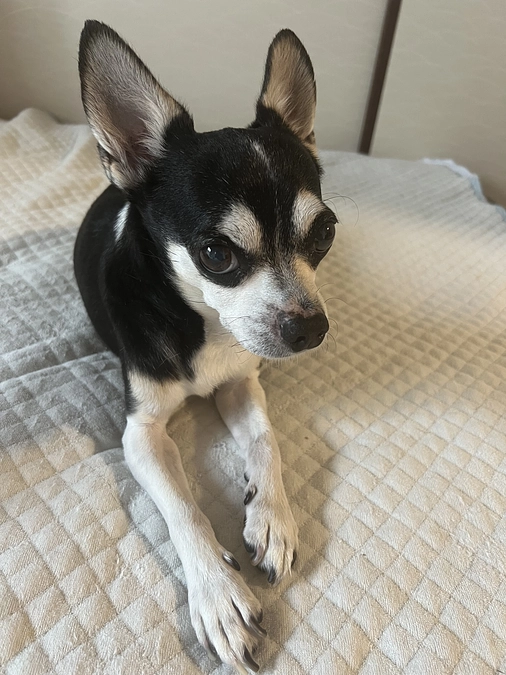 クラウドファンディング残り22日‼︎