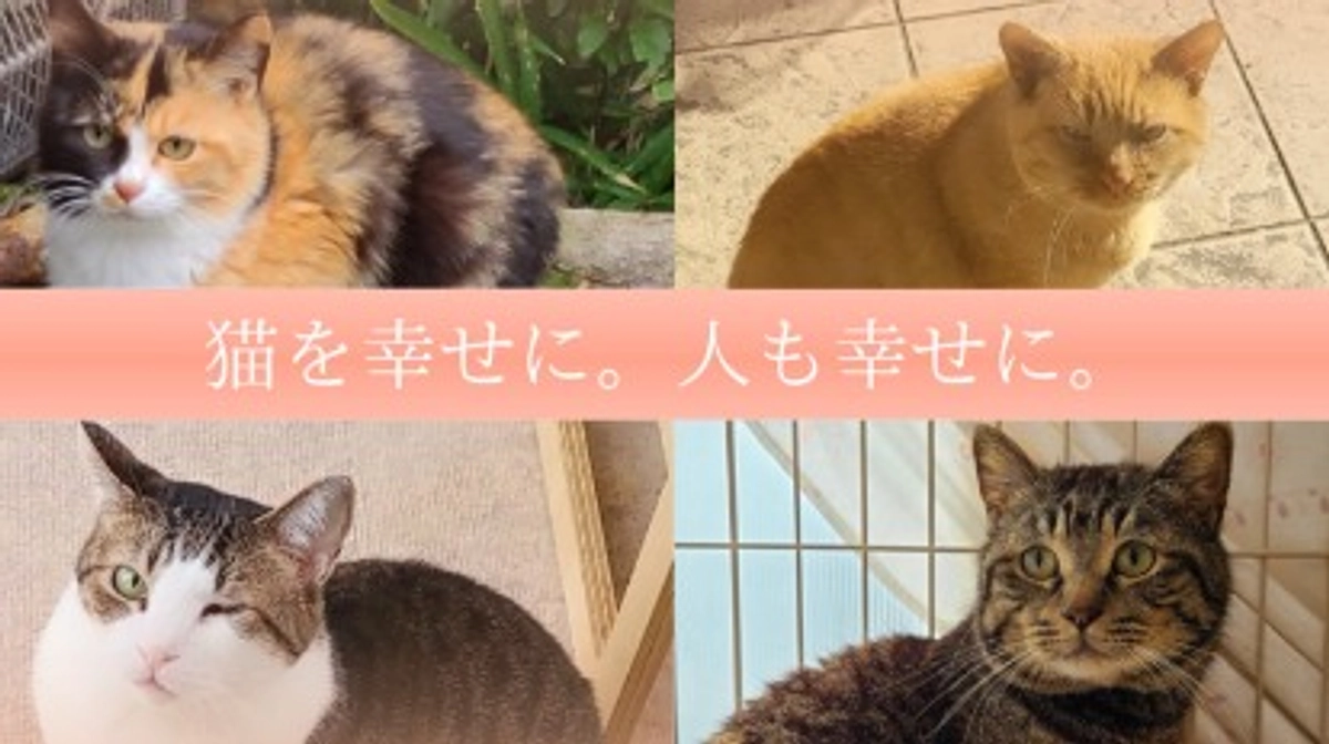 未来に向けて、本日より新たなクラウドファンディングにチャレンジいたします。