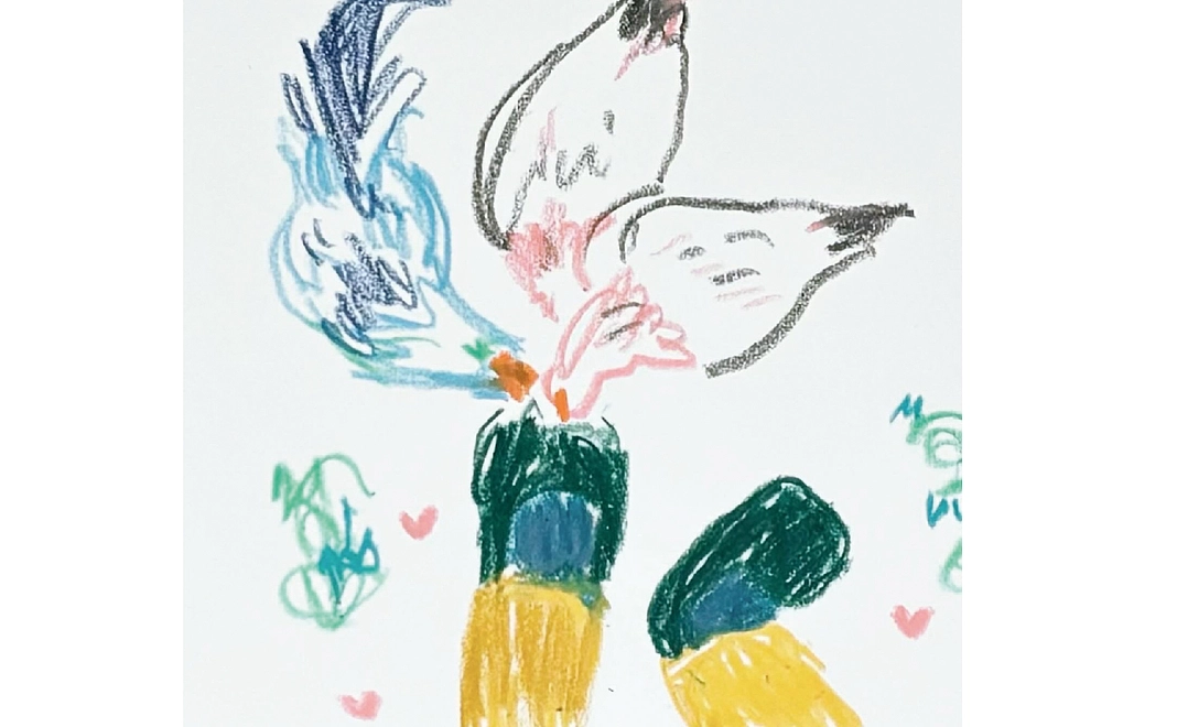 ポストカードを飾って元気ＵＰ！