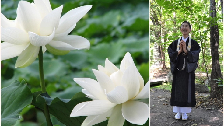 孤独死が増えた今だから実現したい【宗派を超えた】僧侶の葬儀社