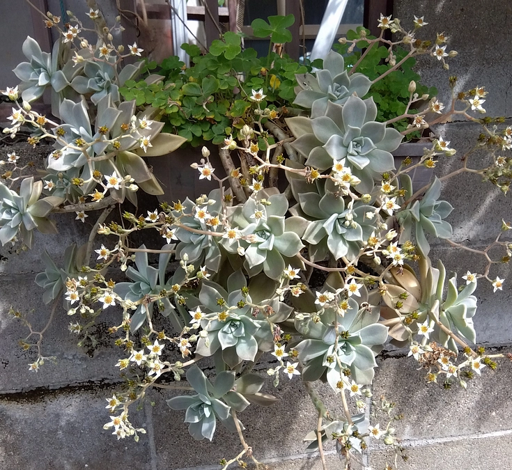 反省しきり💦😅🙌