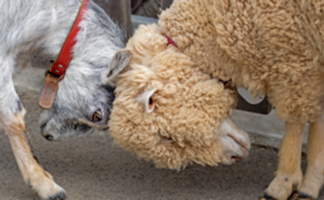 【お気持ちコース】1万円コース