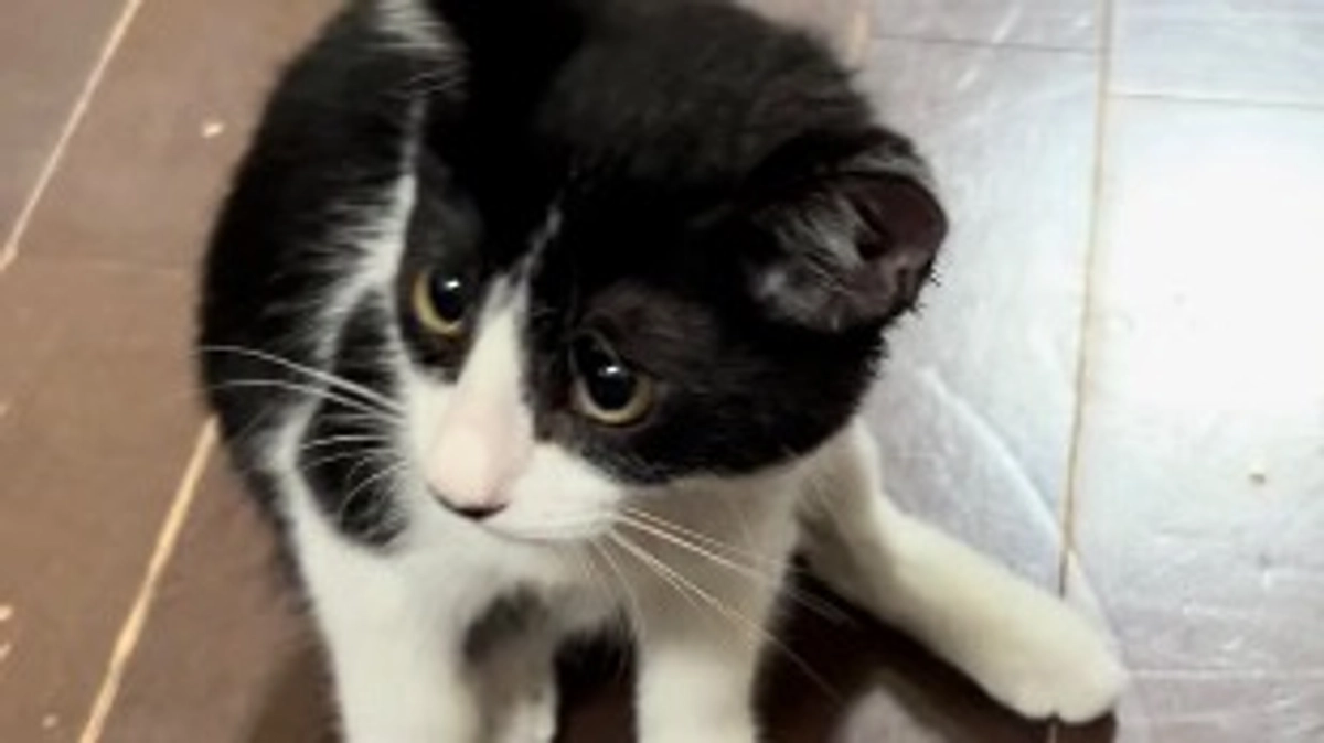 10月5日 〜 リハビリ経過報告① 〜