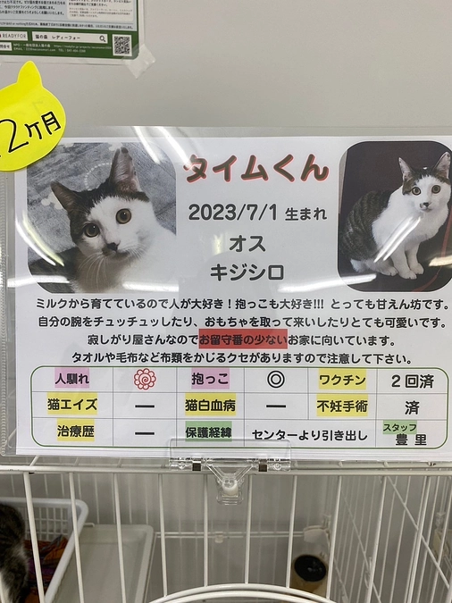 7月14日譲渡会の報告