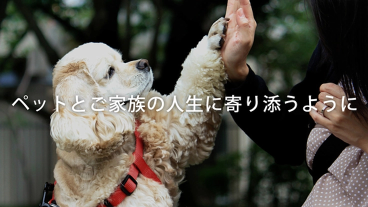 愛犬・愛猫のそれぞれの健康に合わせたペットフードを製造したい