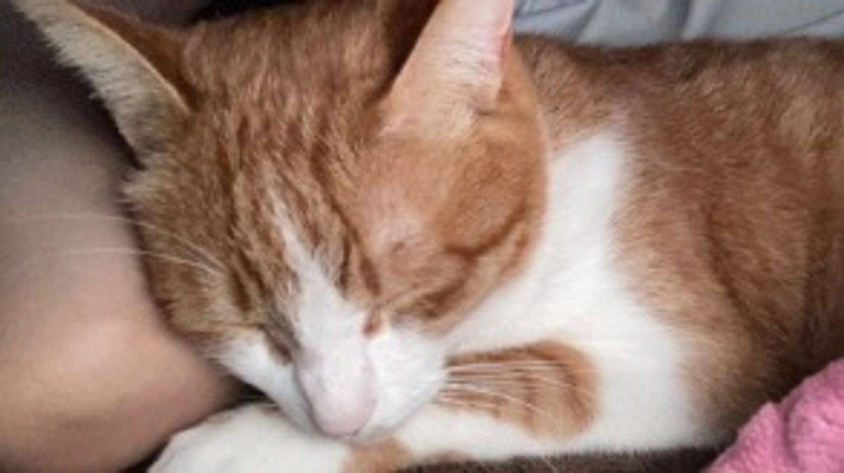 【過去のお話】プロジェクトがはじまりました！