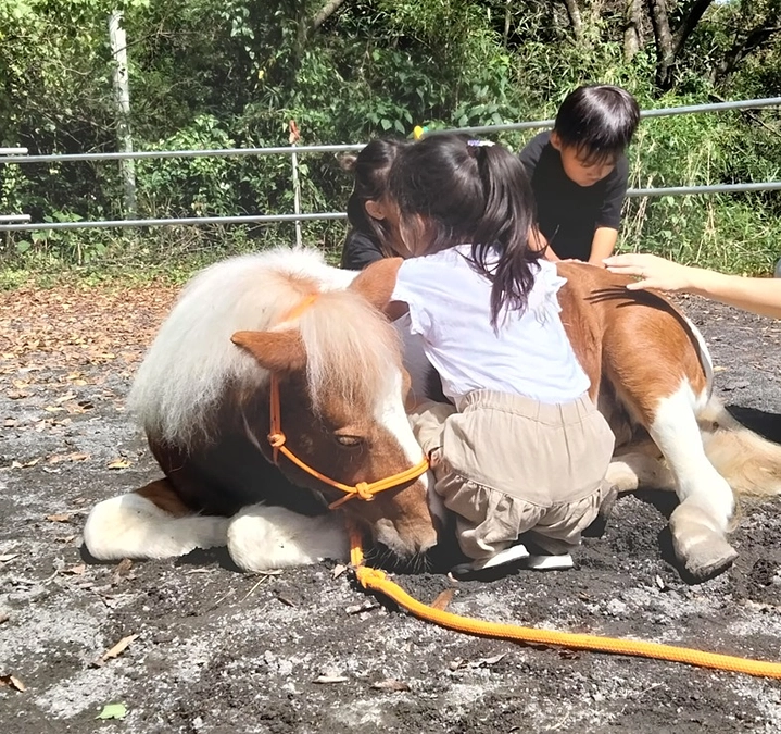 遠矢慎様（おうち工房 代表取締役）よりいただいた応援メッセージと、Thanks BBQの話。