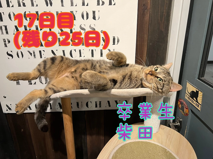 卒業生・柴田のお話。