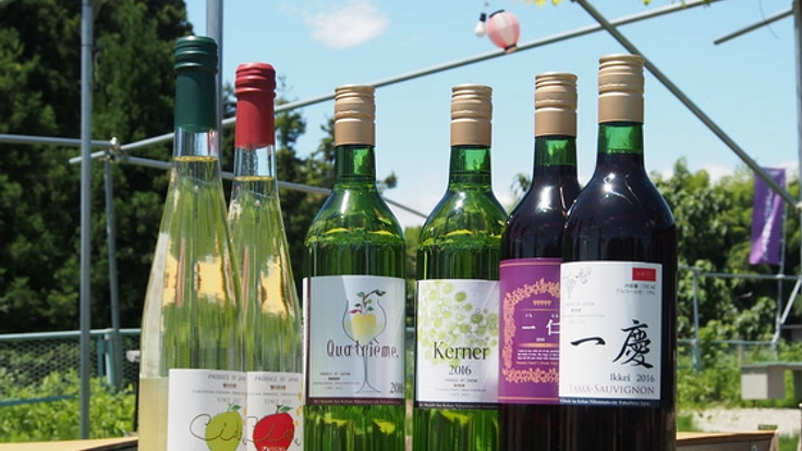 ふくしま農家の夢ワイン、世界に通用するワインを造りたい！