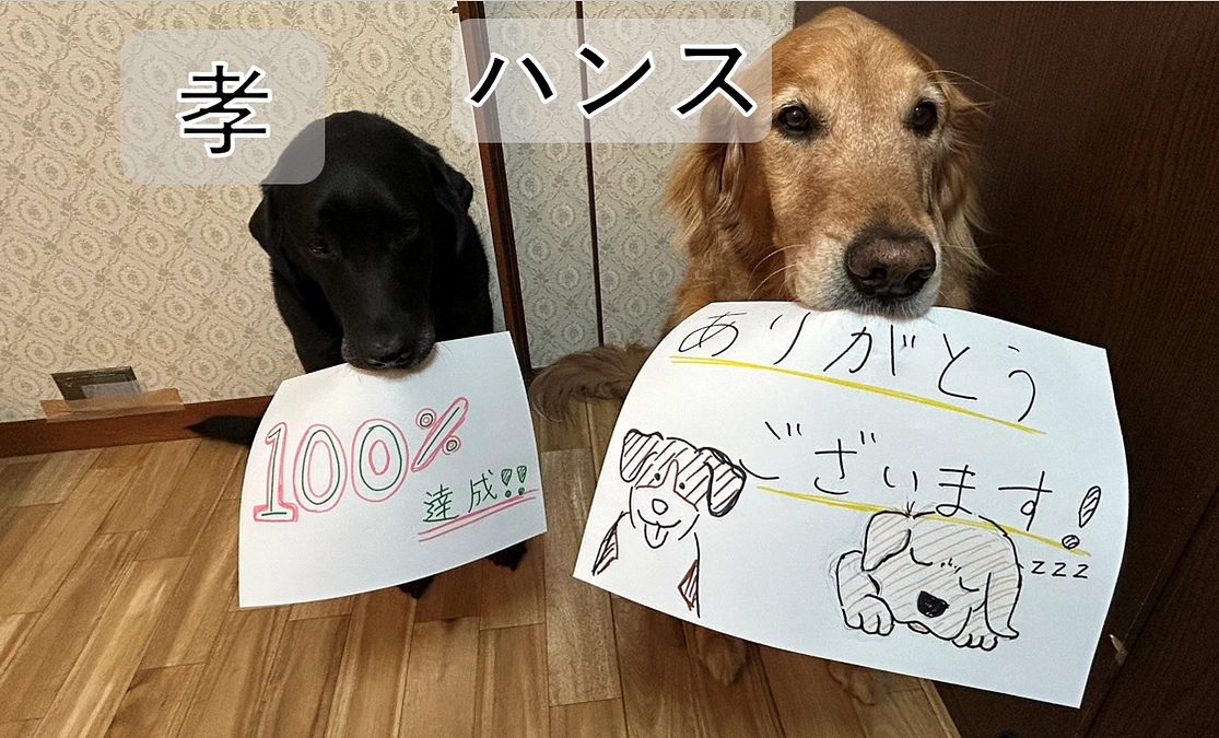 NEXT GOALに向けてリターンを追加しました！