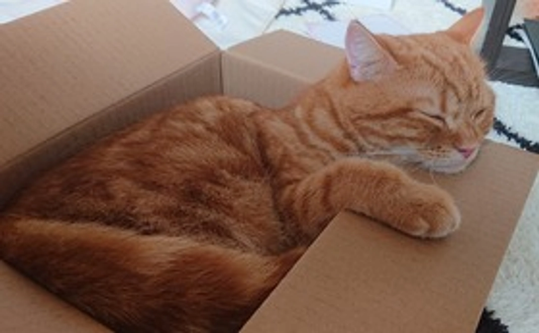 1000円支援コース