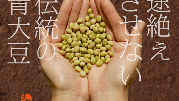 兵庫八鹿伝統の青大豆を途絶えさせない。天然醸造味噌を広めたい