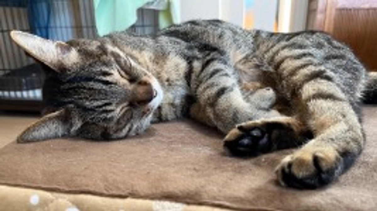 【通院記録】4月25日