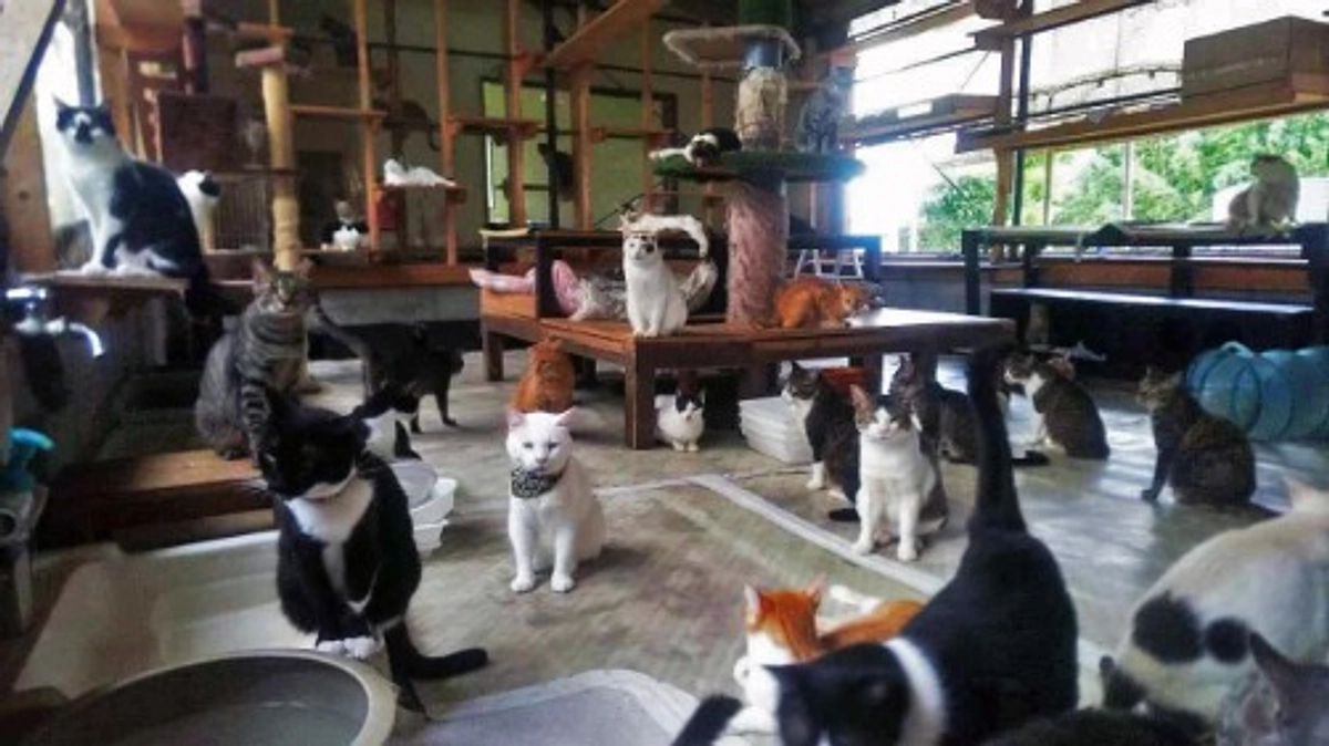 【2000万円達成しました！！】代表甲斐より、皆様へ感謝の気持ちをお伝えします！