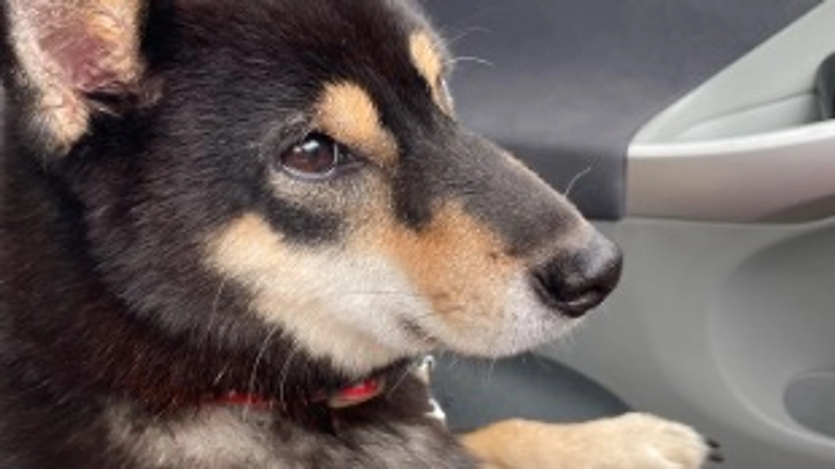 トライアル開始☺️‼️