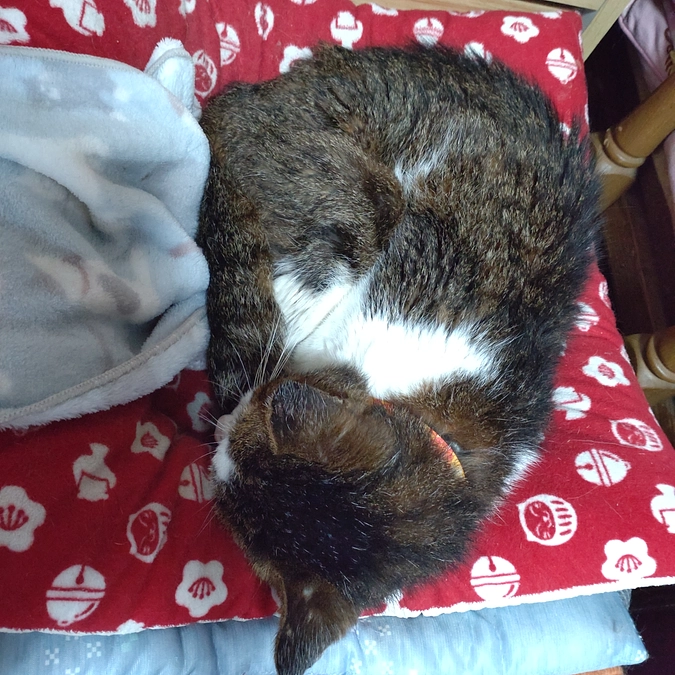 頑張ろうねっ⤴