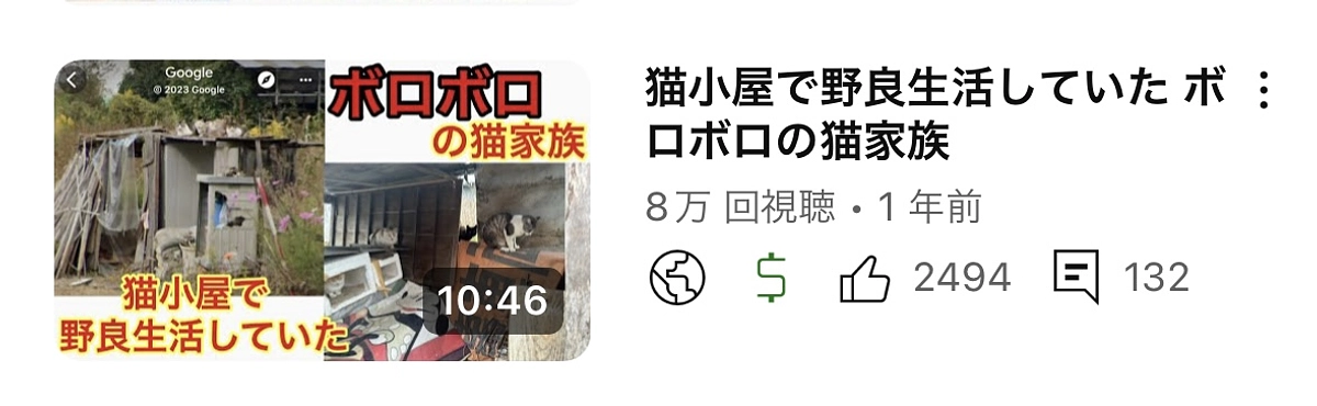 ボロボロの猫小屋で生活してた猫家族