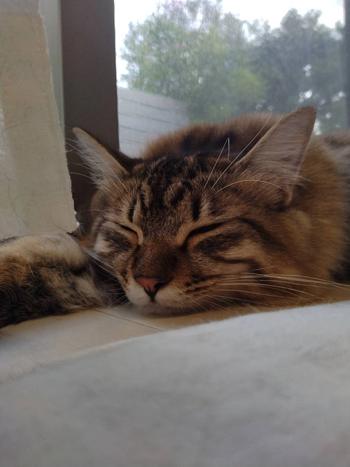 プロジェクト達成のお礼と残り期間のこと