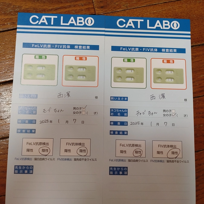 ニューフェイス😺