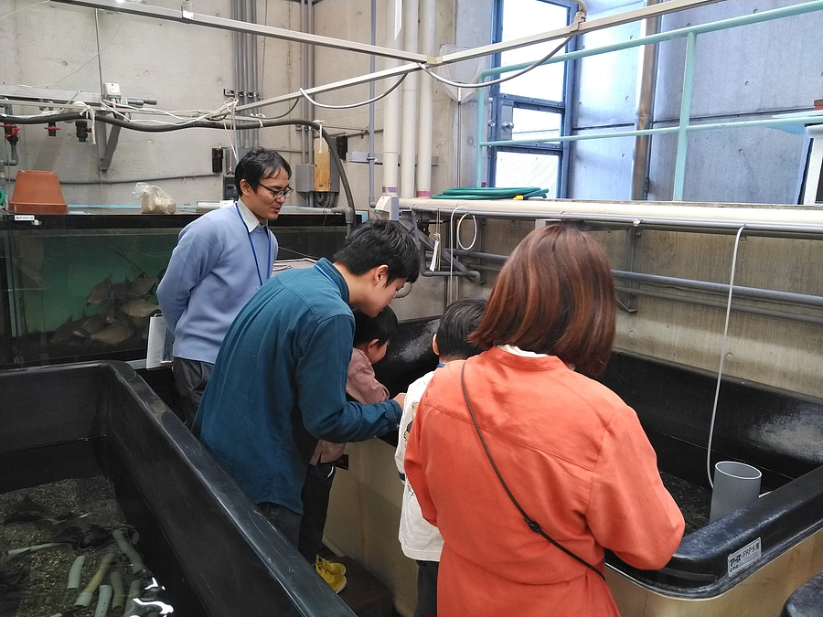 クラファン体験型リターンも始動