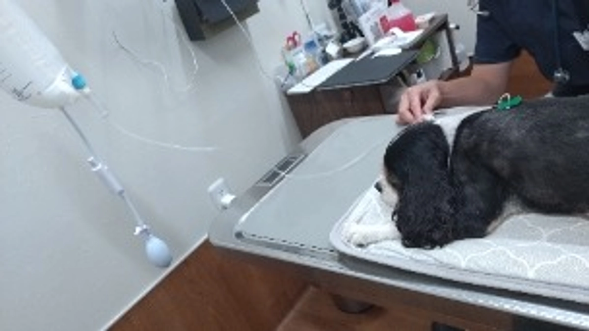 9月28日体調が悪くなりかかりつけ受診