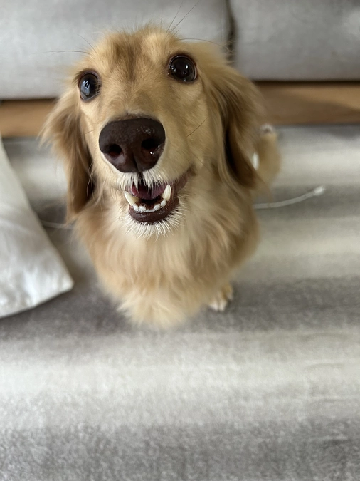 公開から１週間経ちました