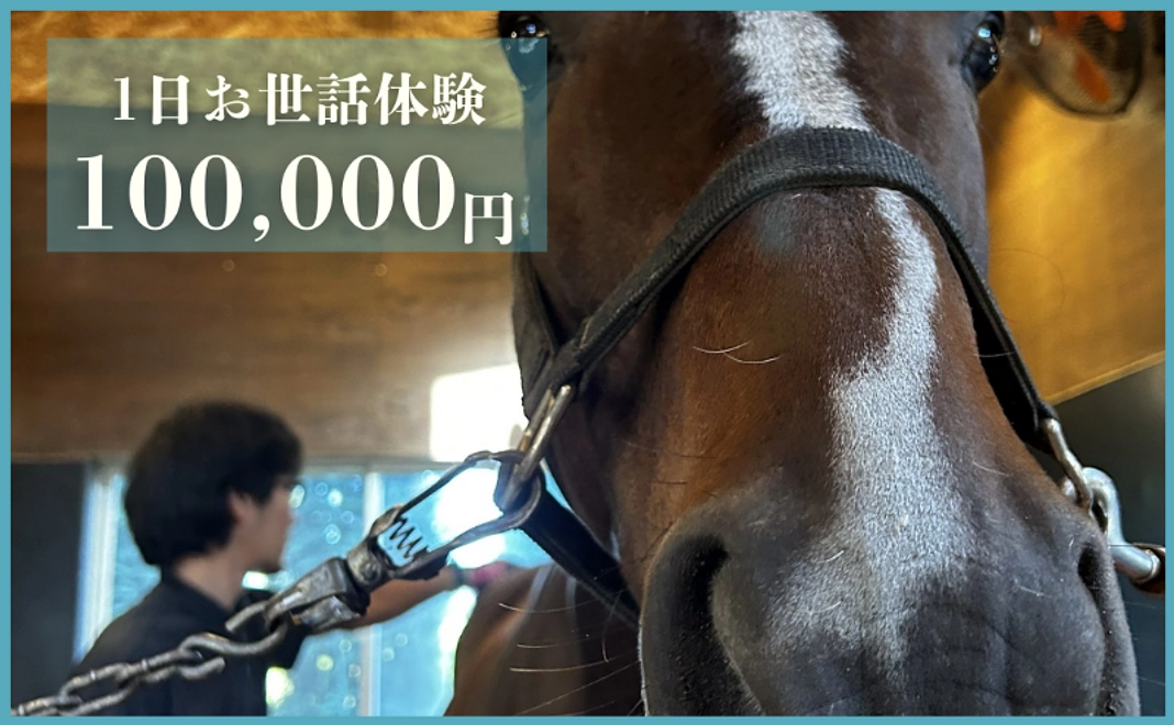 体験コース｜1日お世話体験