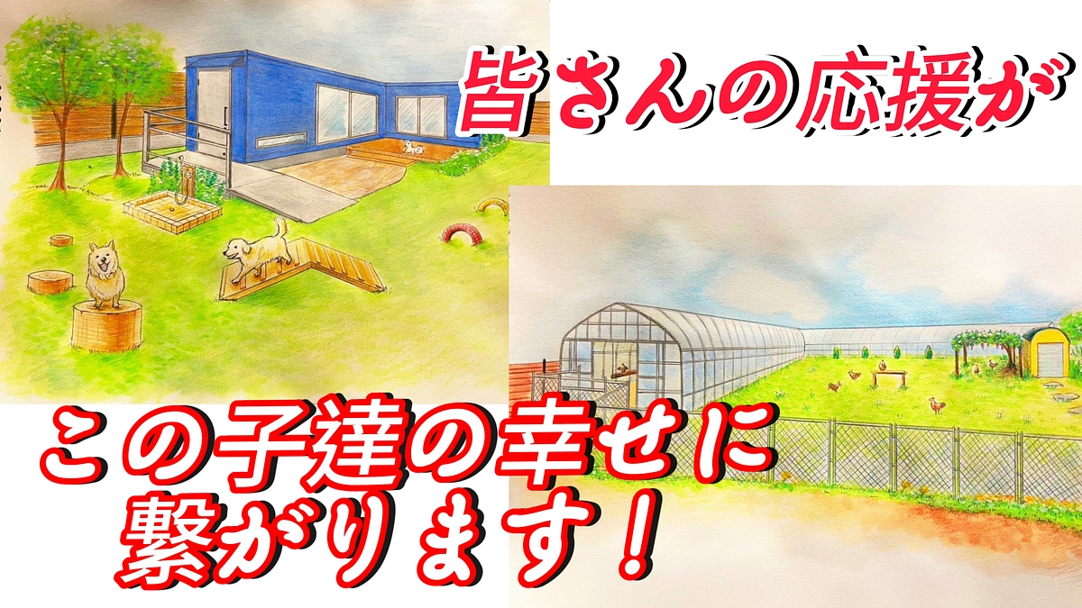 寝ている姿も可愛い