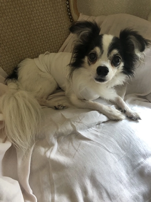 手術後2週間が経とうとしています