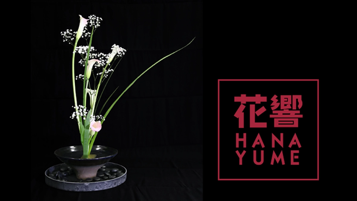 初日のご来場結果