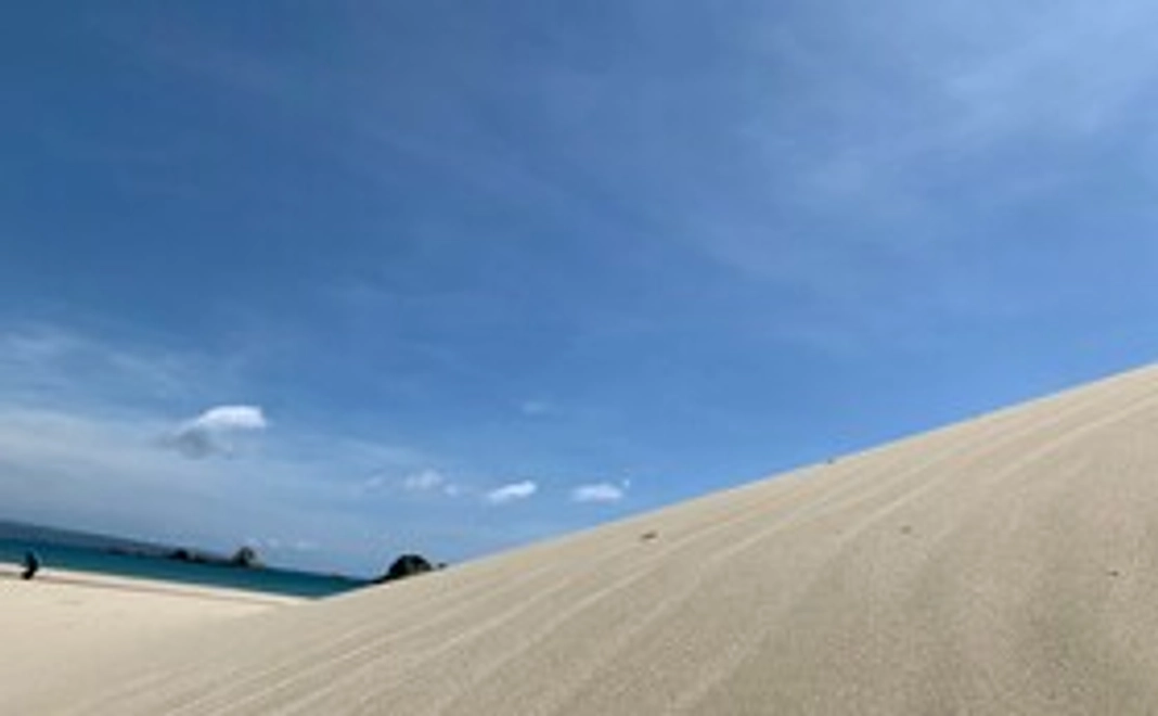 「サンクスメール」コース