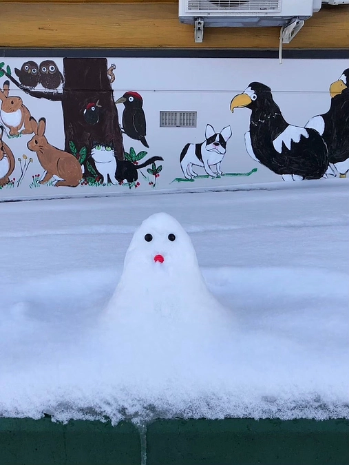 暑中お見舞い申し上げます〜月虹山荘便り〜