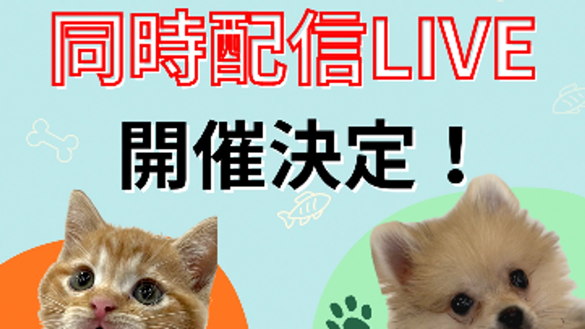 【残り5時間】あと25万円で達成！このあと19時〜インスタライブ！