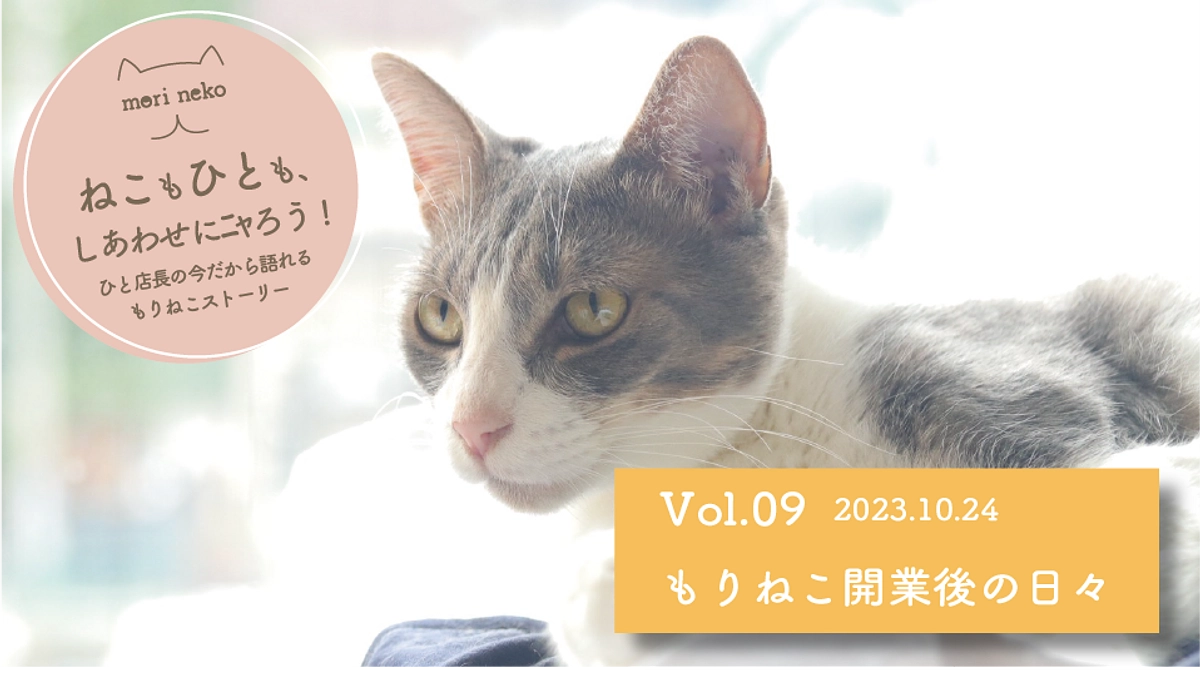 ねこもひとも、しあわせにニャろう！vol.9