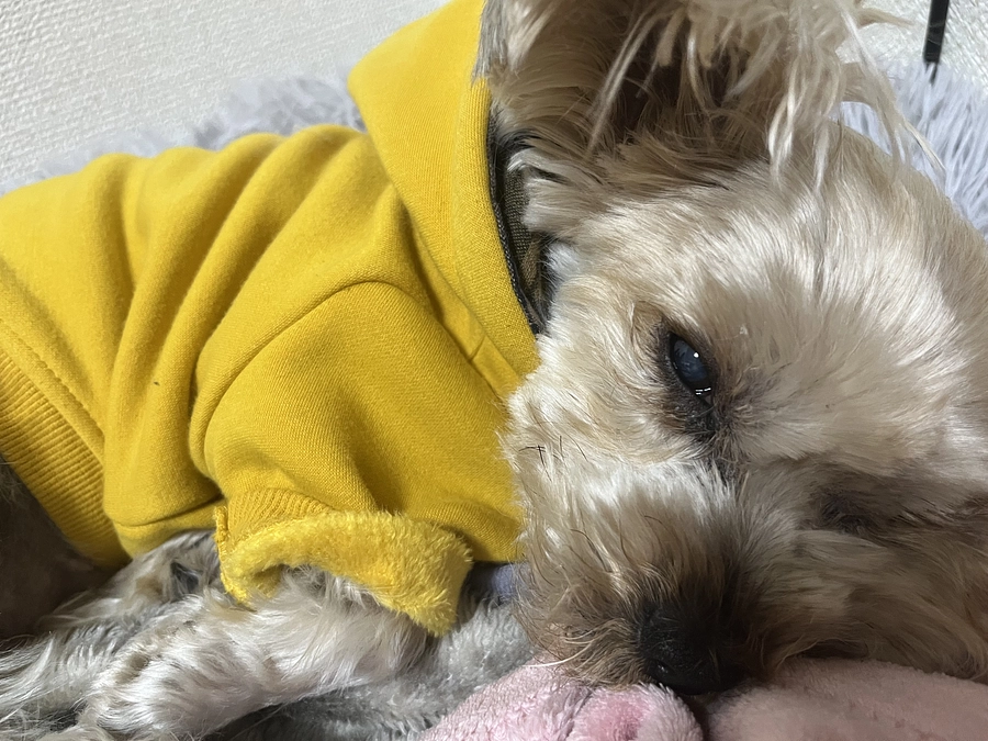 残り48時間です‼️