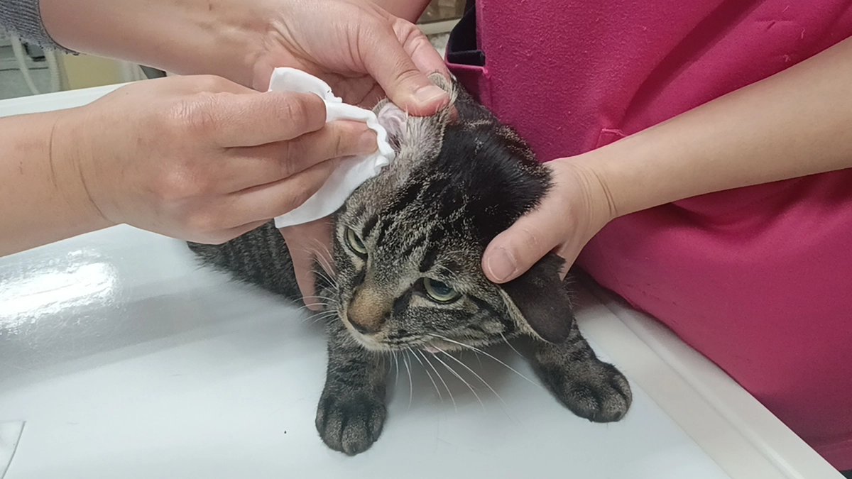 ご報告。あと406,000円です。