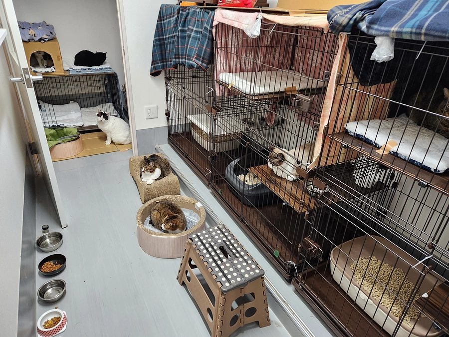 プロジェクトを終えて