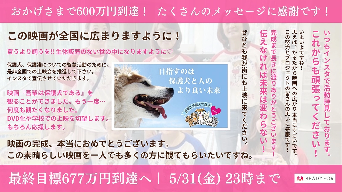 【ついに600万円突破！最終目標まであと69万円！】いただいた応援メッセージをご紹介します！