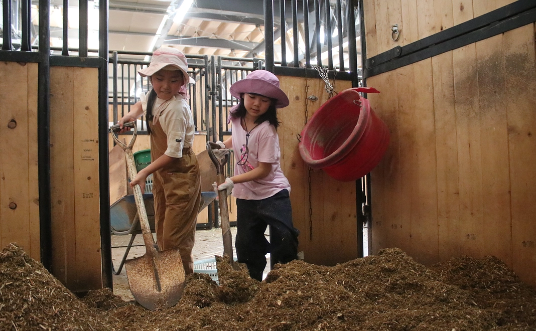 毎月5000円コース